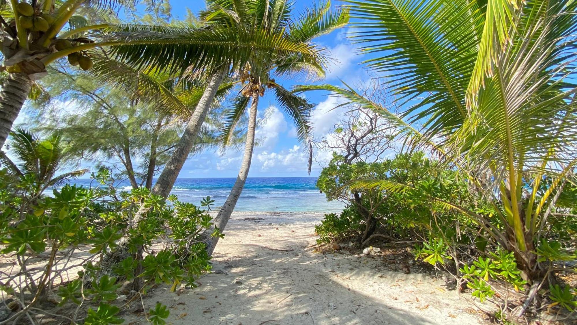 Moorea Chill And Beach Lodge Teavaro Екстер'єр фото